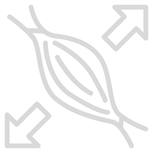Obrazové soubory/muscle.png